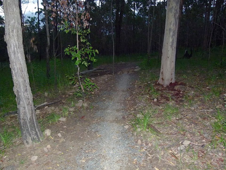 P1160368.jpg